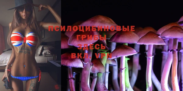 мескалин Алексин