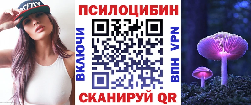 Псилоцибиновые грибы мицелий  купить наркотик  Наволоки 